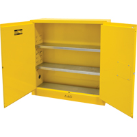 Flammable Storage Cabinet, 24 gal., 2 Door, 43" W x 44" H x 12" D Action Paper