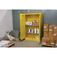 Armoire pour produits inflammables, 45 gal., 2 Porte(s), 43" La x 65" h x 18" p Action Paper