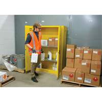 Armoire pour produits inflammables, 45 gal., 2 Porte(s), 43" La x 65" h x 18" p Action Paper