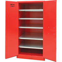 Armoire pour peintures et encres, 96 gal., 5 tablettes Action Paper