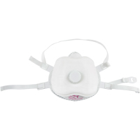 Respirateur contre les particules, P100, Certifi&eacute; NIOSH, Moyen/grand Action Paper
