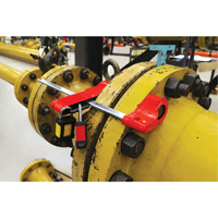 Petit dispositif de consignation de bride, Type Bride Action Paper