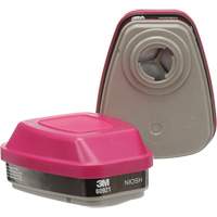 6000 Series Respirator Cartridges, Gas/Vapour Cartridge, Organic Vapour/P100 Action Paper
