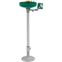 Axion&reg; Eye/Face Wash Station, Pedestal Installation, Plastic Bowl Action Paper
