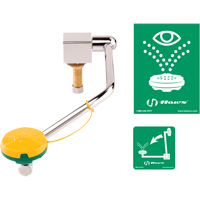 Eye/Face Wash Station, Sink Mount Installation Action Paper