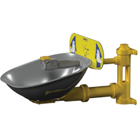 Poste de douche oculaire Halo, Installation Montage mural, Bol Acier inoxydable Action Paper