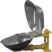 Poste de douche oculaire Halo, Installation Montage mural, Bol Acier inoxydable Action Paper