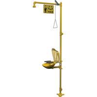 Halo Combination Emergency Shower & Eyewash Station Action Paper