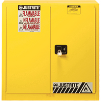 Armoire de s&eacute;curit&eacute; pour produits inflammables Ex Sure-Grip, 30 gal., 2 Porte(s), 36" La x 35" h x 24" p Action Paper