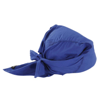 Chill-Its&reg; 6710 Cooling Triangle Hats, Blue Action Paper