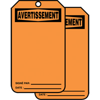 Safety Tags, Cardstock, 3-1/8" W x 5-7/8" H, French Action Paper