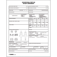 Patient Assessment Chart Action Paper