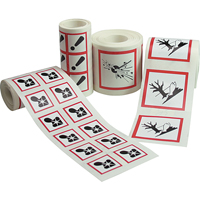 GHS Pictogram Labels, Vinyl, Roll, 4" L x 4" W Action Paper