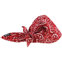 Chill-Its&reg; 6710CT Cooling Triangle Hats, Red Action Paper
