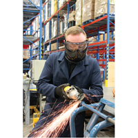 Z2300 Series Safety Shield Goggles, Clear Lens, Anti-Fog, Indirect Vent Action Paper