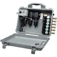 6 Worker Multi Regulator Action Paper