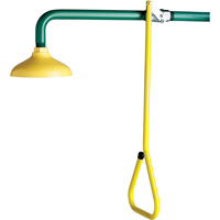 Lifesaver<sup>®</sup> Emergency Overhead Showers, Wall-Mount SF861 | Action Paper