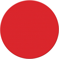 Marqueurs all&eacute;g&eacute;e/5S Armor Stripe, Cercle, 6" lo x 6" la, Rouge, Plastique Action Paper