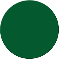 Marqueurs all&eacute;g&eacute;e/5S Armor Stripe, Cercle, 6" lo x 6" la, Vert, Plastique Action Paper
