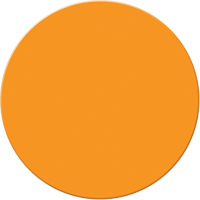 Marqueurs all&eacute;g&eacute;e/5S Armor Stripe, Cercle, 6" lo x 6" la, Orange, Plastique Action Paper