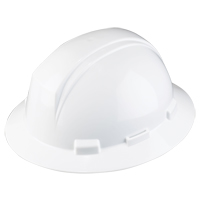 Dynamic Kilimanjaro Hardhat, CSA Type 2, Ratchet Suspension, Non-Vented Action Paper