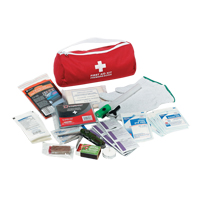 Trousse de premiers soins pour auto Dynamic, Dispositif m&eacute;dical Classe 1, Sac en nylon Action Paper