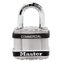 Cadenas lamin&eacute;, Argent, Cl&eacute;s diff&eacute;rentes, Acier lamin&eacute;, Largeur de 1-3/4" Action Paper