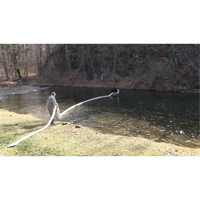 Balle SpillBoa, Huile seulement, 25' lo x 5" la, Absorption 28 gal., 4 /pqt Action Paper
