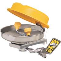 Poste de douche oculaire, Installation Montage mural, Bol Acier inoxydable Action Paper