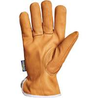 Gants de conducteur Endura, Petit, Paume en Cuir fleur de ch&egrave;vre, Thinsulate Action Paper