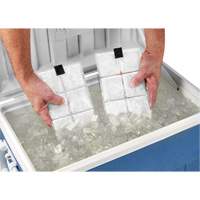 Sachets pour veste de refroidissement &agrave; changement de phase 6260 Chill-Its Action Paper