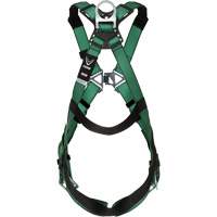 Full Body Harnesses