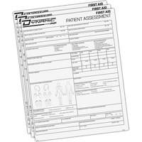 Dynamic Patient Assessment Chart Action Paper