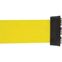 Wall Mount Barrier with Magnetic Tape, Steel, Screw Mount, 12', Yellow Tape Action Paper