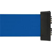 Wall Mount Barrier with Magnetic Tape, Steel, Screw Mount, 7', Blue Tape Action Paper