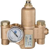 Emergency Eyewash & Shower Water Blending Systems