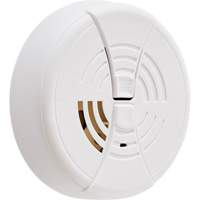 Smoke Detector Action Paper