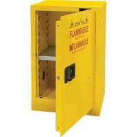 Armoire pour produits inflammables, 12 gal., 1 Porte(s), 23" La x 35" h x 18" p Action Paper