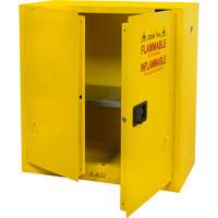 Armoire pour produits inflammables, 30 gal., 2 Porte(s), 43" La x 44" h x 18" p Action Paper