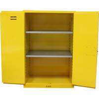 Armoire pour produits inflammables, 90 gal., 2 Porte(s), 43" La x 66" h x 34" p Action Paper