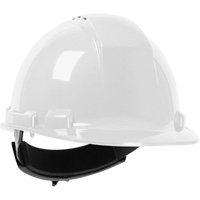 Dynamic Whistler Hardhat, Meets CSA Type 1, Ratchet Suspension, Vented Action Paper