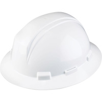 Dynamic Kilimanjaro Full Brim Hardhat, Meets CSA Type 1, Ratchet Suspension, Vented Action Paper