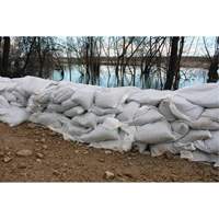 Sandbag Action Paper