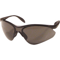 Miranda Safety Glasses, Grey Lens, Anti-Scratch, Meets/Exceeds CSA Z94.3 Action Paper