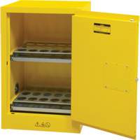 Armoire de rangement pour a&eacute;rosols inflammables, 12 gal., 1 Porte(s), 23" La x 35" h x 18" p Action Paper