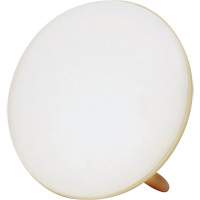 Lampe &agrave; luminoth&eacute;rapie pour le traitement de la d&eacute;pression saisonni&egrave;re Action Paper