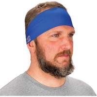 Chill-Its 6634 Cooling Headband, Blue Action Paper