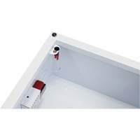 Grande armoire standard pour DEA avec alarme, Zoll AED Plus/Zoll AED 3/Cardio-Science/Physio-Control Pour, Non m&eacute;dical Action Paper