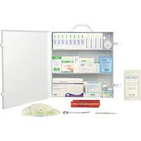 First Aid Kit, CSA Type 2 Low-Risk Environment, Large (51-100 Workers), Metal Box SHC215 | Action Paper