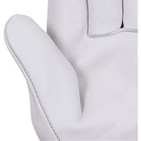 535G Beige Driver's Gloves, Small, Grain Cowhide Palm Action Paper